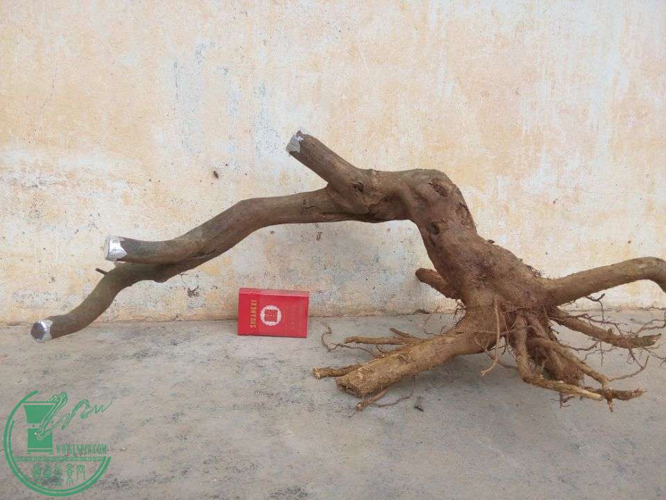 6af233b6973863bf.jpg