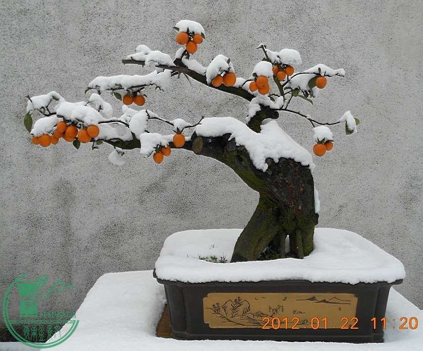 18ĸ[90].jpg