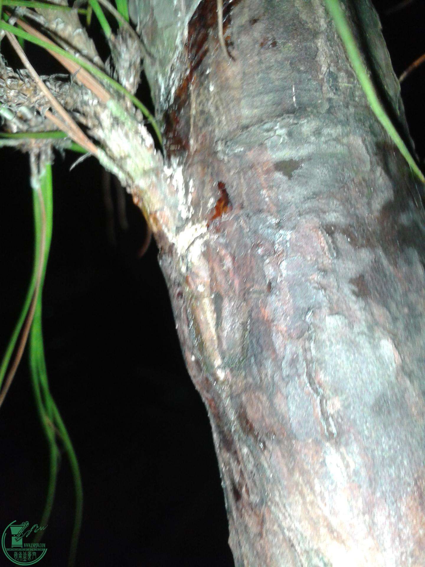 ½ļ (3)20150226_211956.jpg