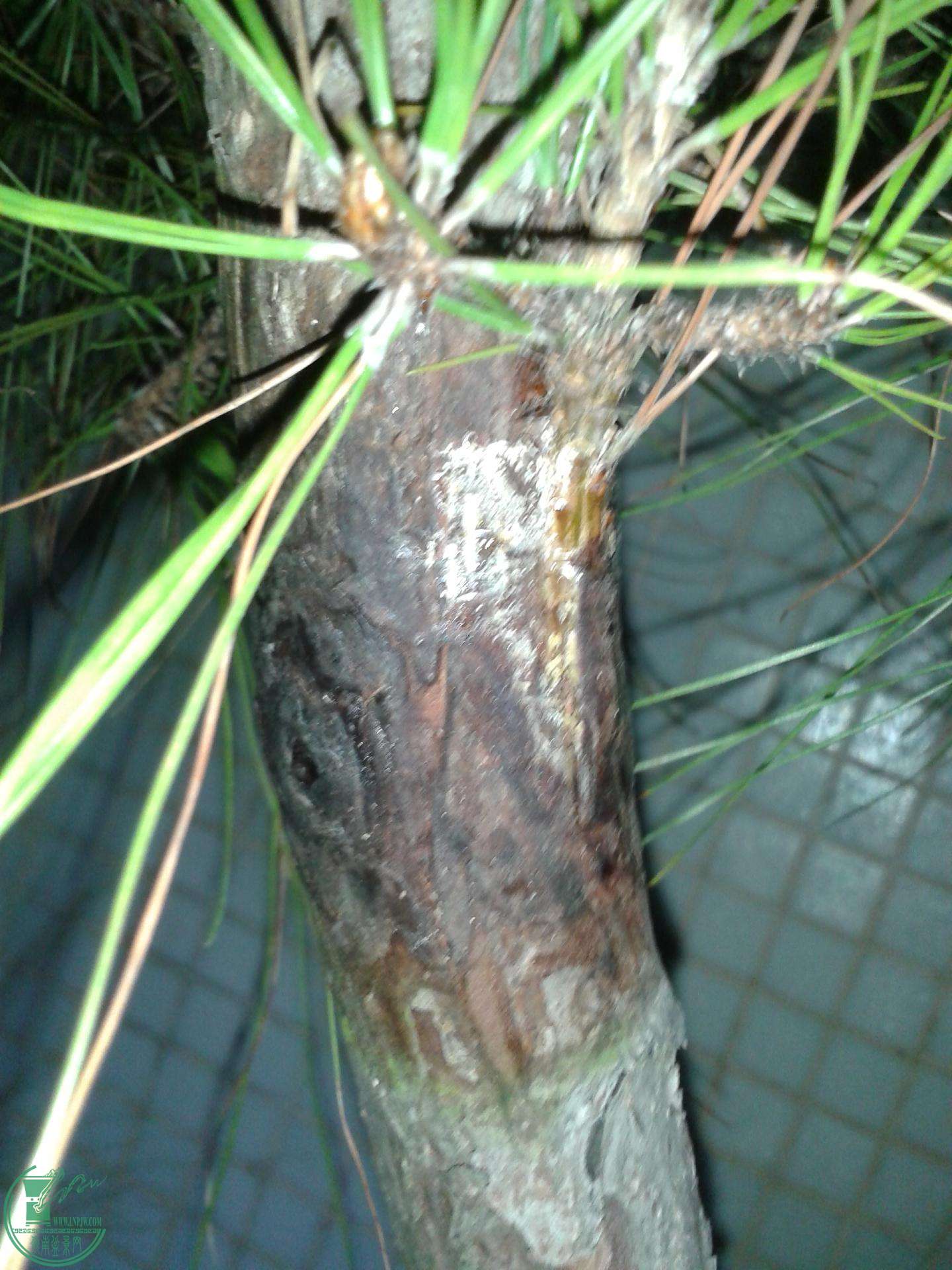 ½ļ (3)20150226_212038.jpg