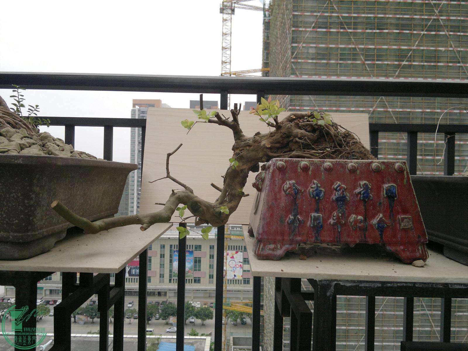 201503012380.jpg