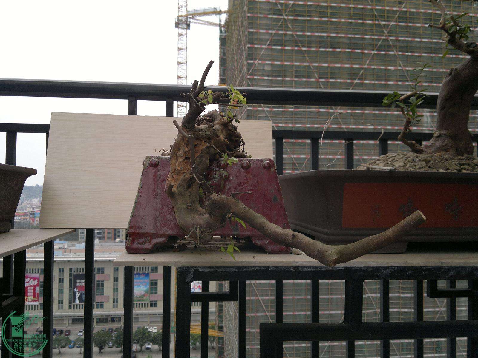 201503012381.jpg