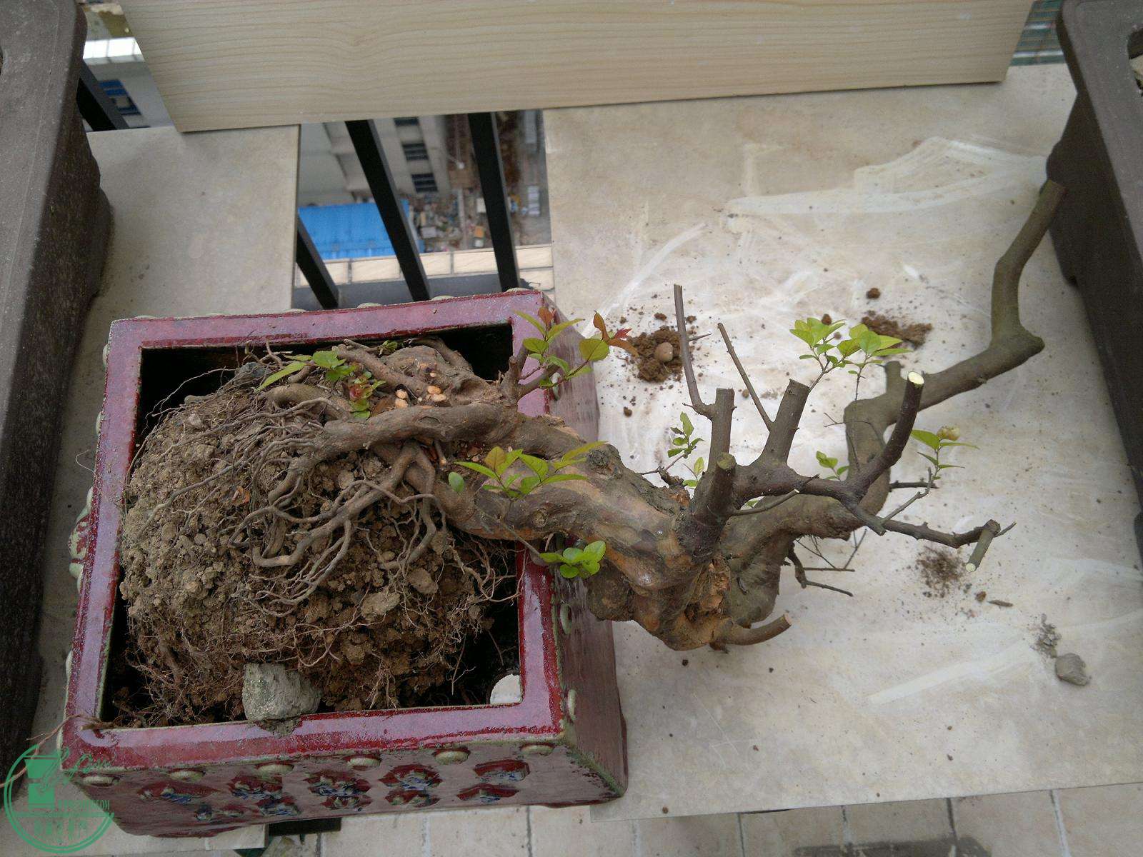 201503012383.jpg