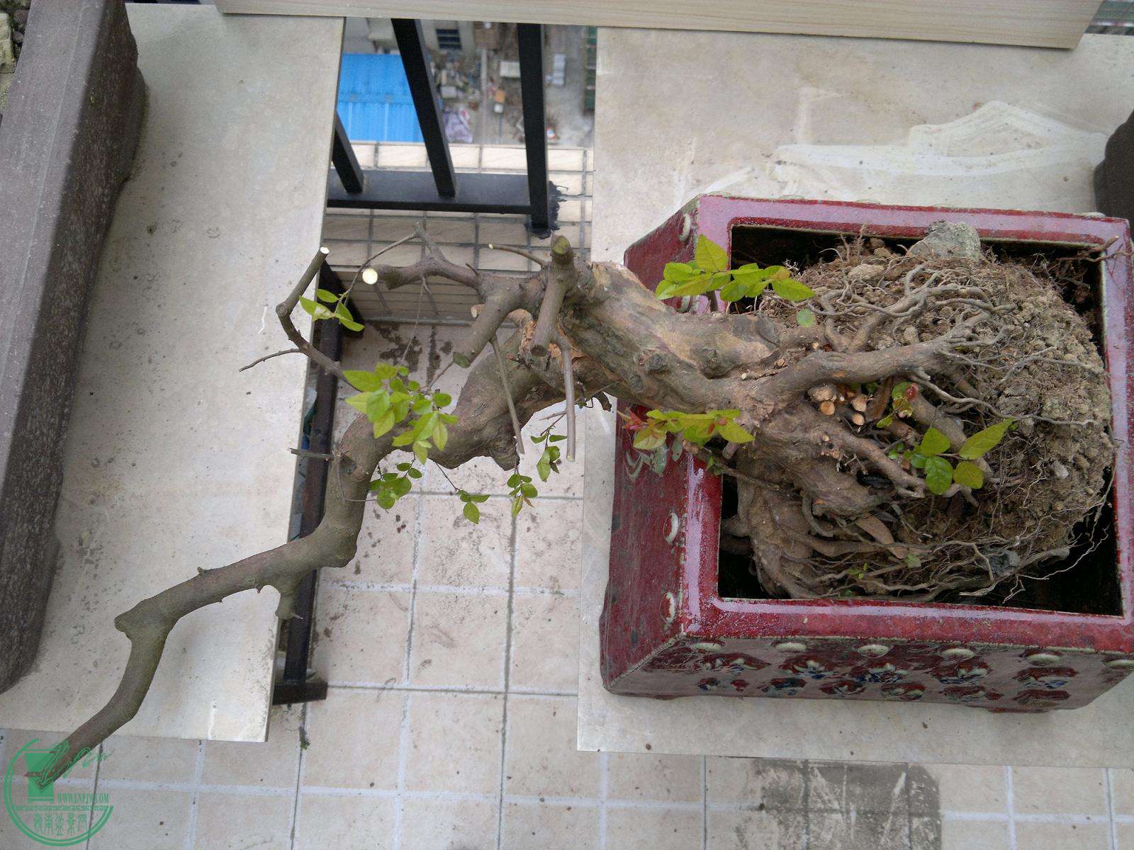 201503012384.jpg
