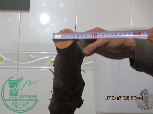 IMG_5629.JPG