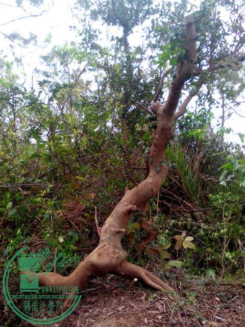 IMG_20150302_154514.jpg