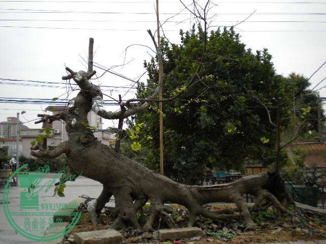  105.jpg