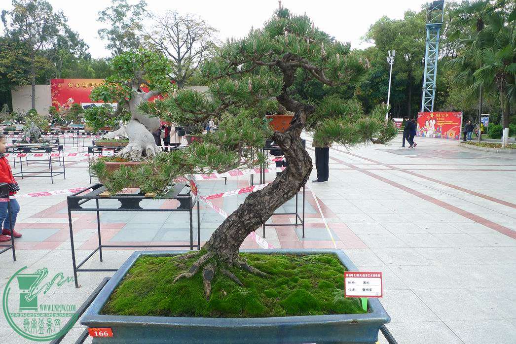 С P1250712.JPG