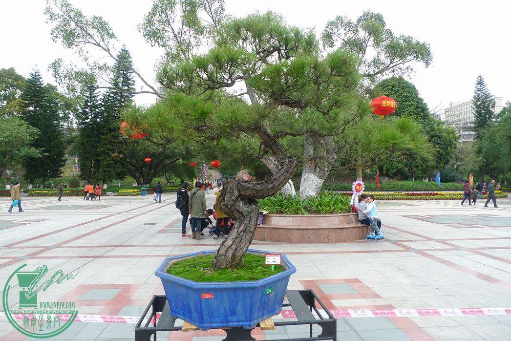 С P1250733.JPG