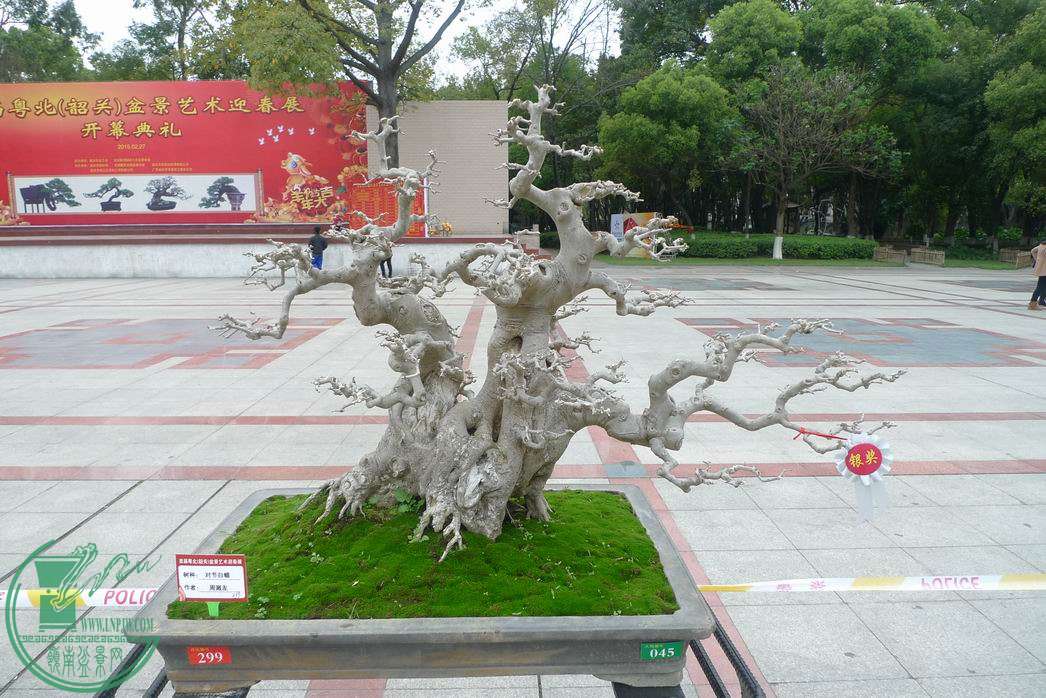 С P1250738.JPG