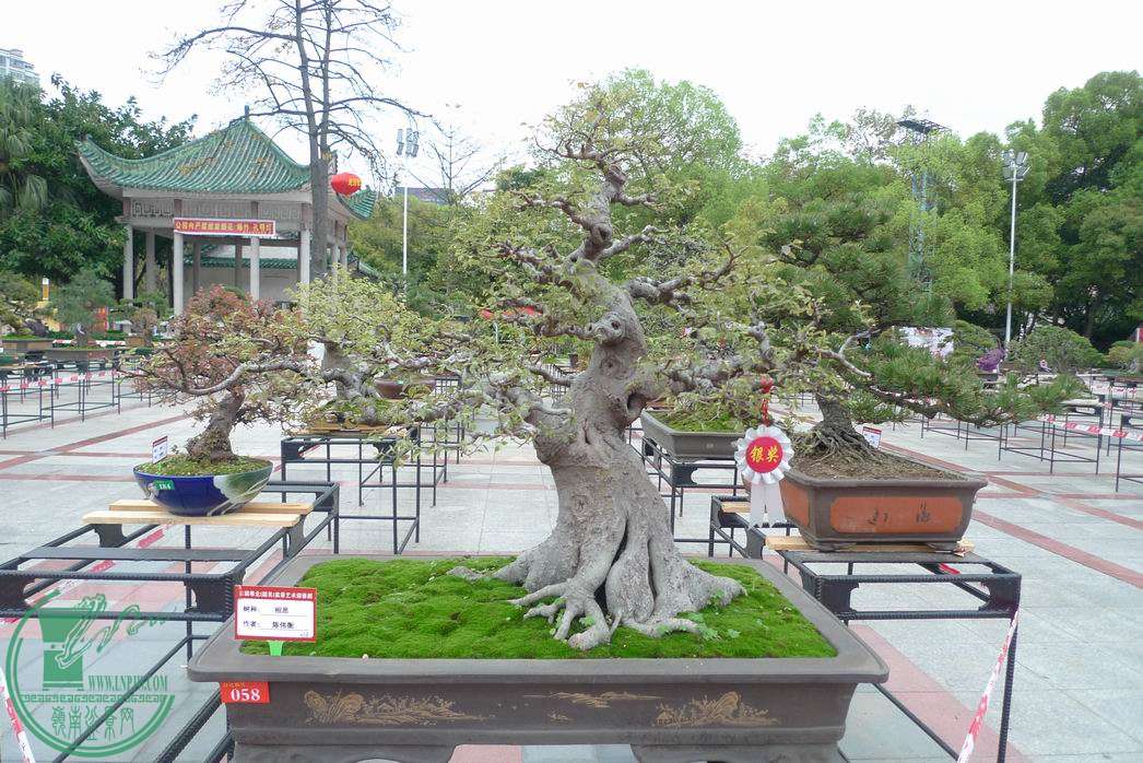 С P1250767.JPG