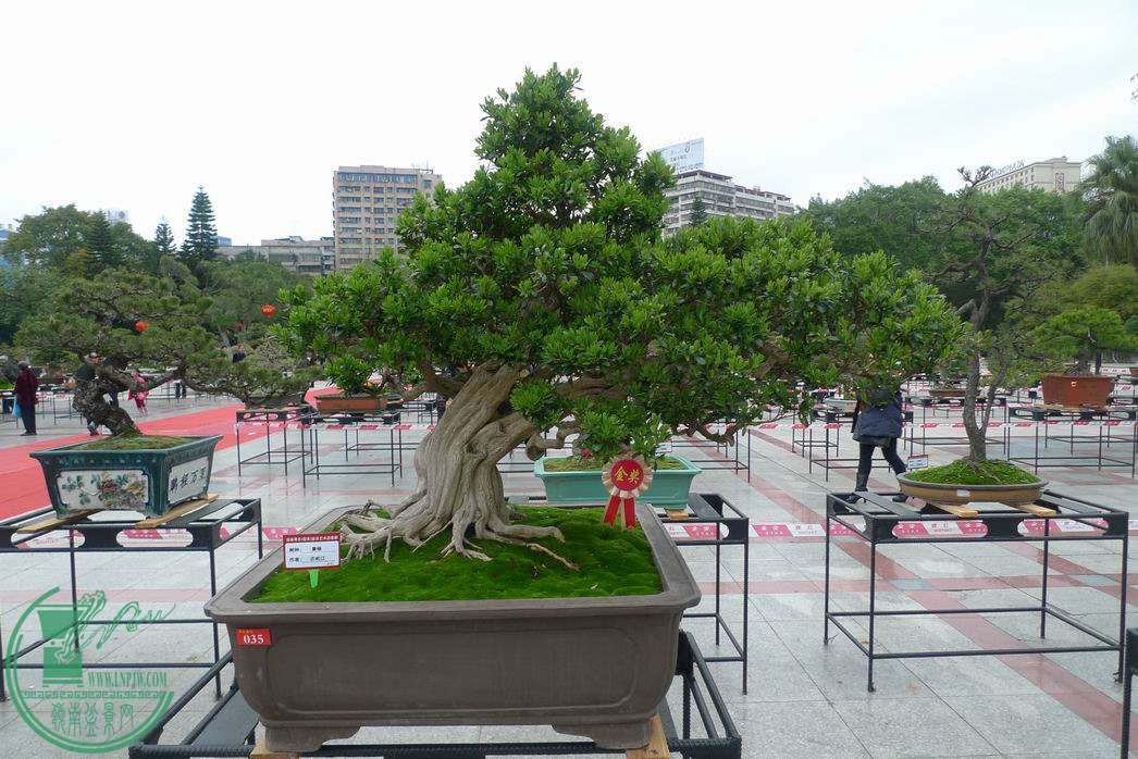 С P1250774.JPG