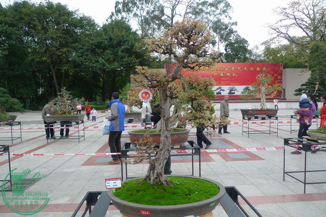 С P1250776.JPG