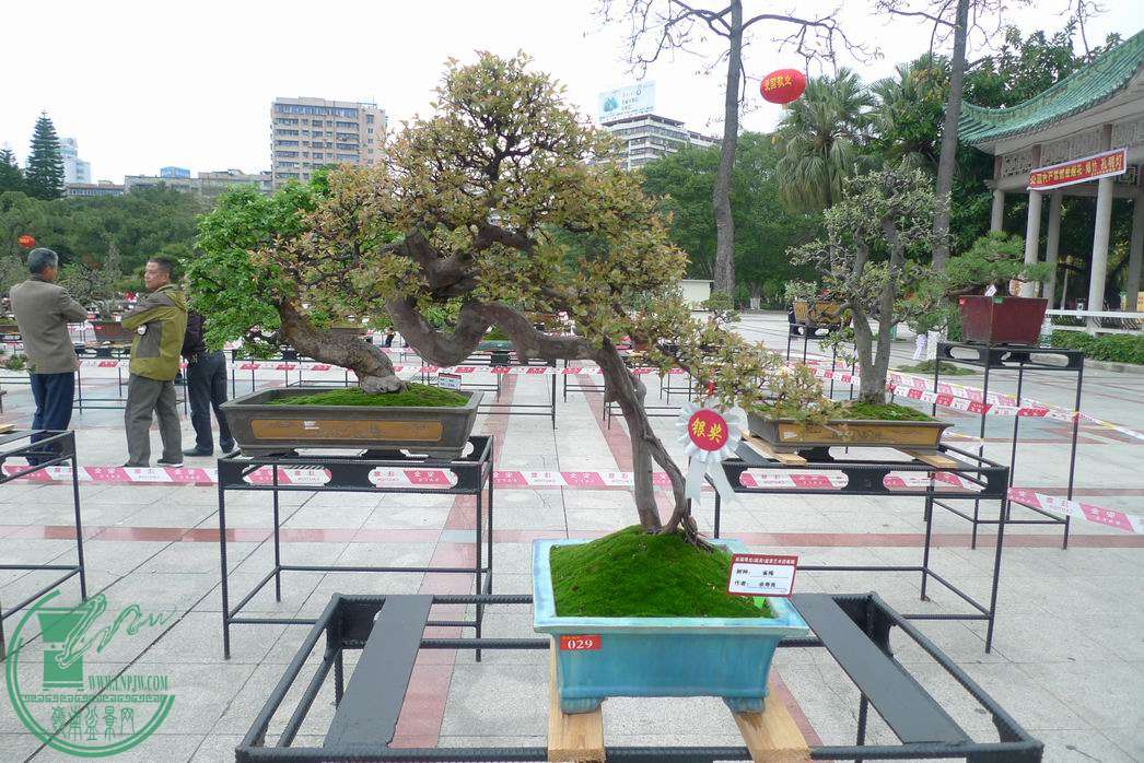 С P1250777.JPG