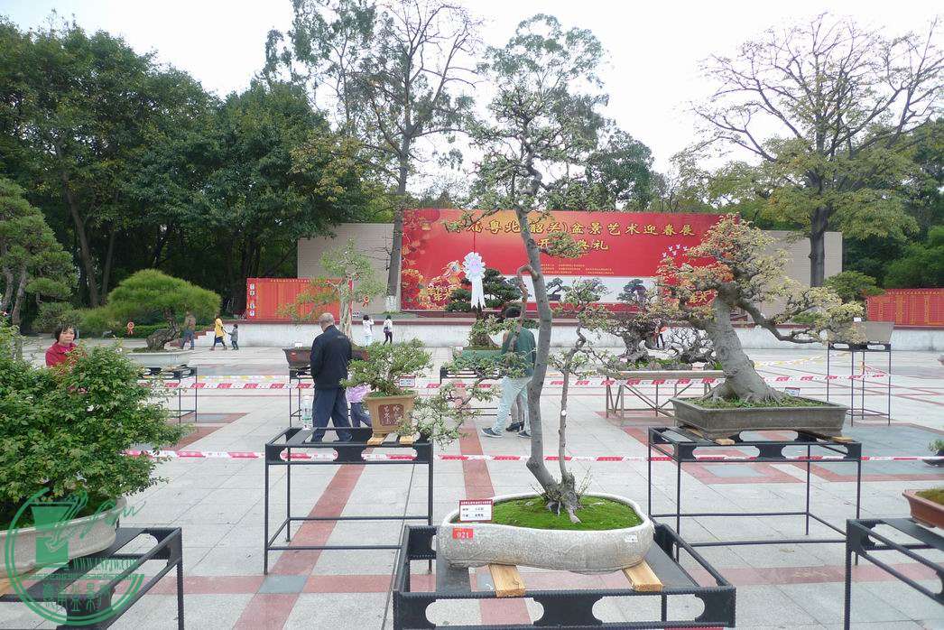 С P1250778.JPG