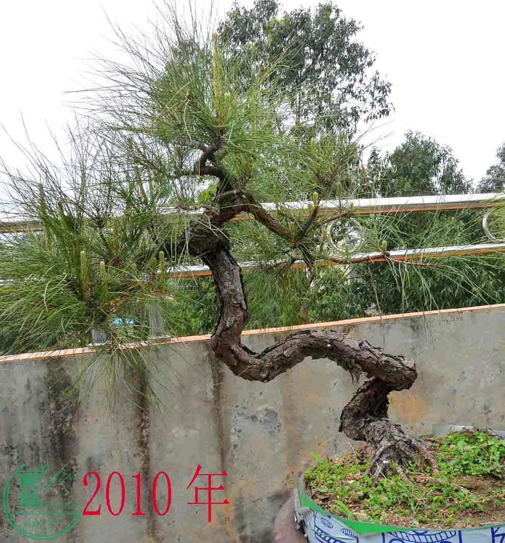 -6.2010.jpg