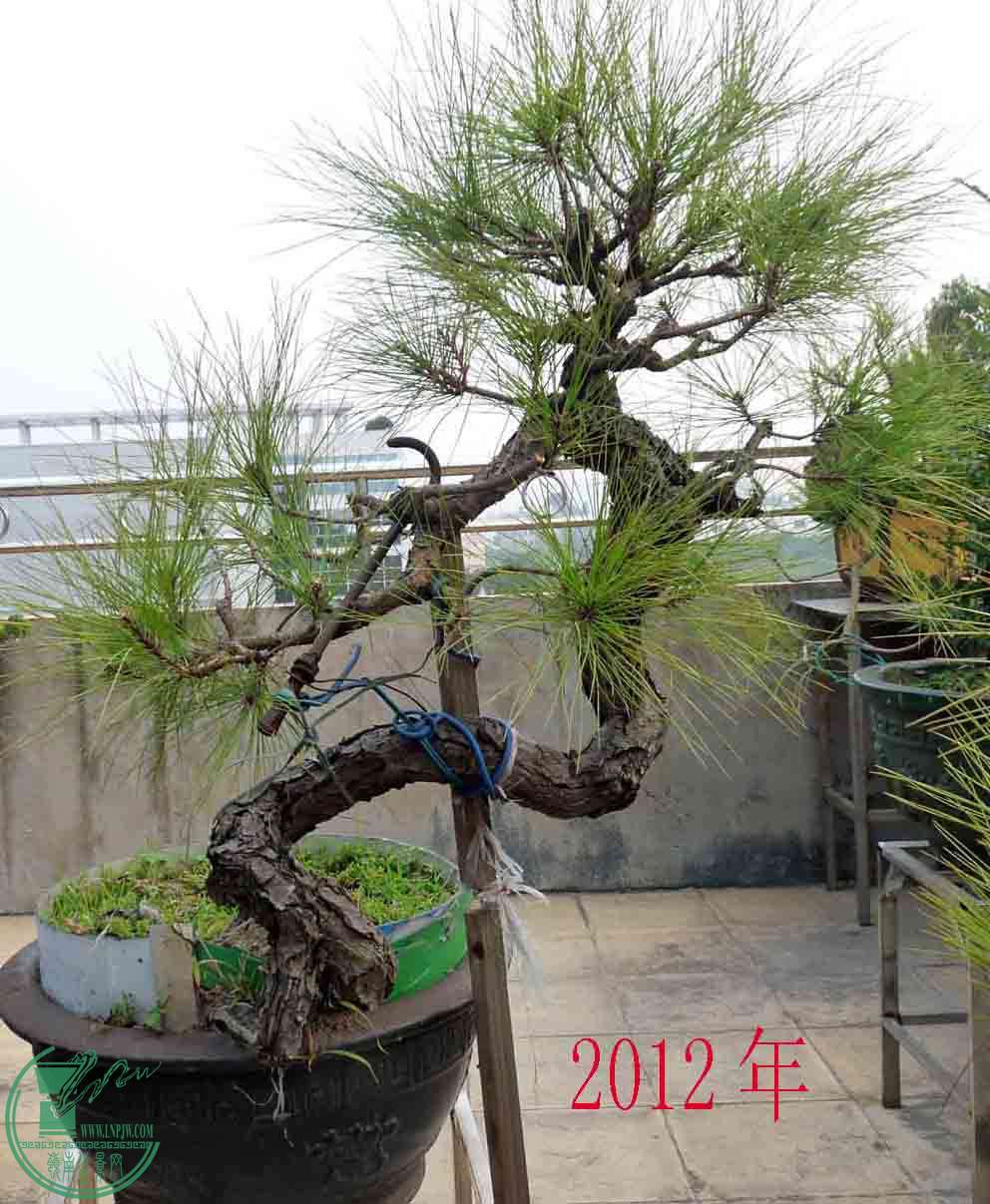 -8.2012.jpg