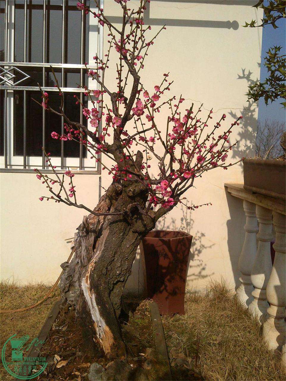 ÷׮26IMG_20150218_092932_ͼ.jpg