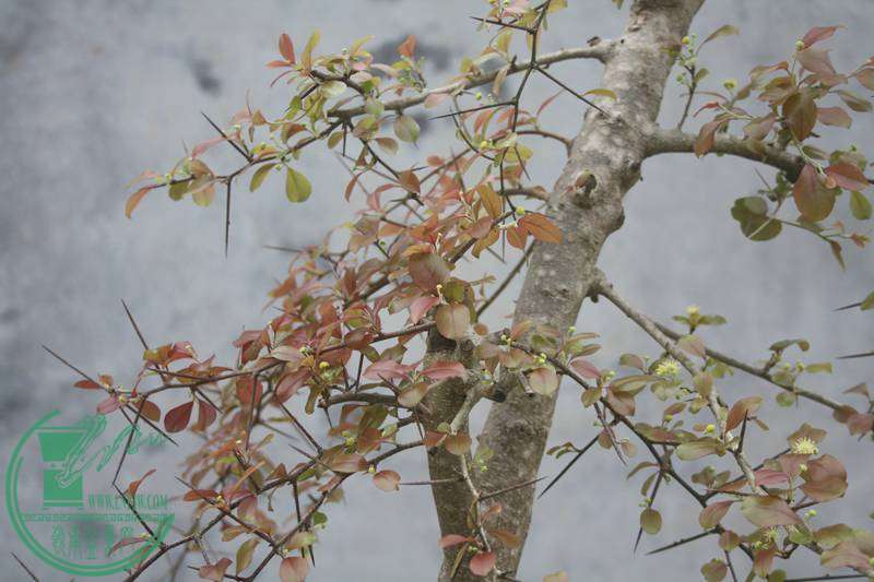 Ƭ20131026ۺ 2710.jpg