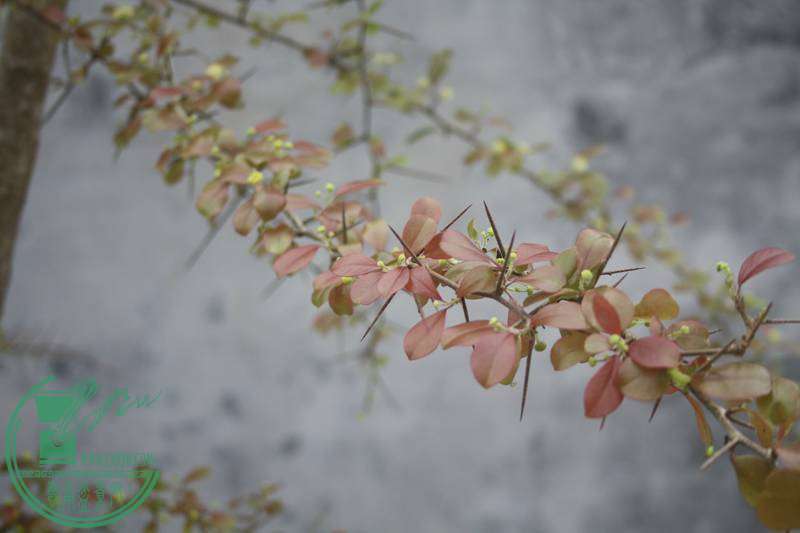 Ƭ20131026ۺ 2712.jpg
