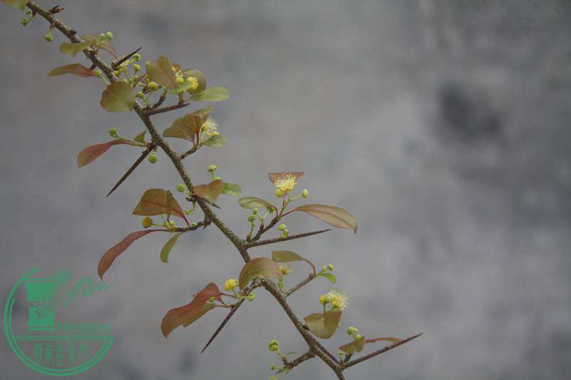 Ƭ20131026ۺ 2714.jpg