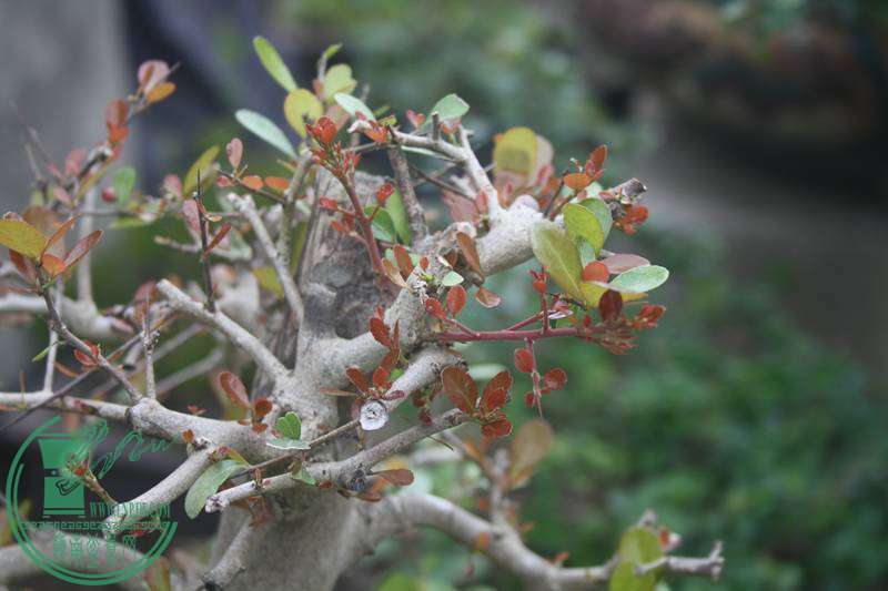 Ƭ20131026ۺ 2720.jpg