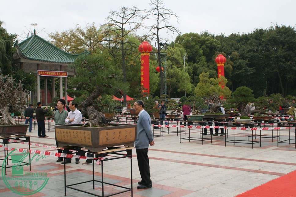 辰չĻֳ25.jpg