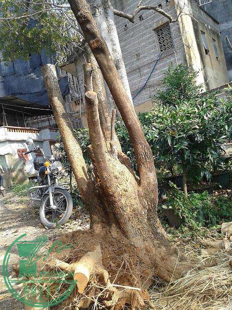 20150129_141305.jpg