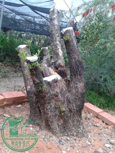 20150302_174331.jpg