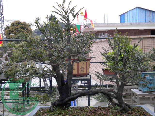  103.jpg