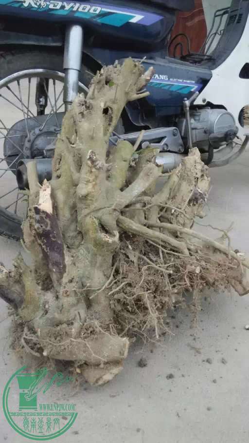 ·ڵĶࣨ