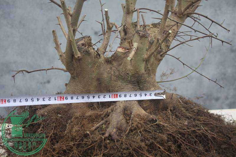 Ƭ20131026ۺ 2746.jpg