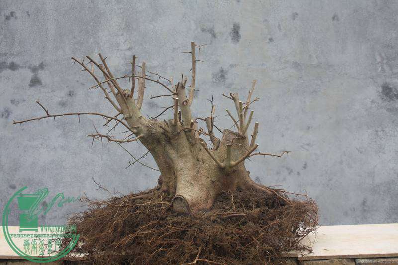 Ƭ20131026ۺ 2743.jpg