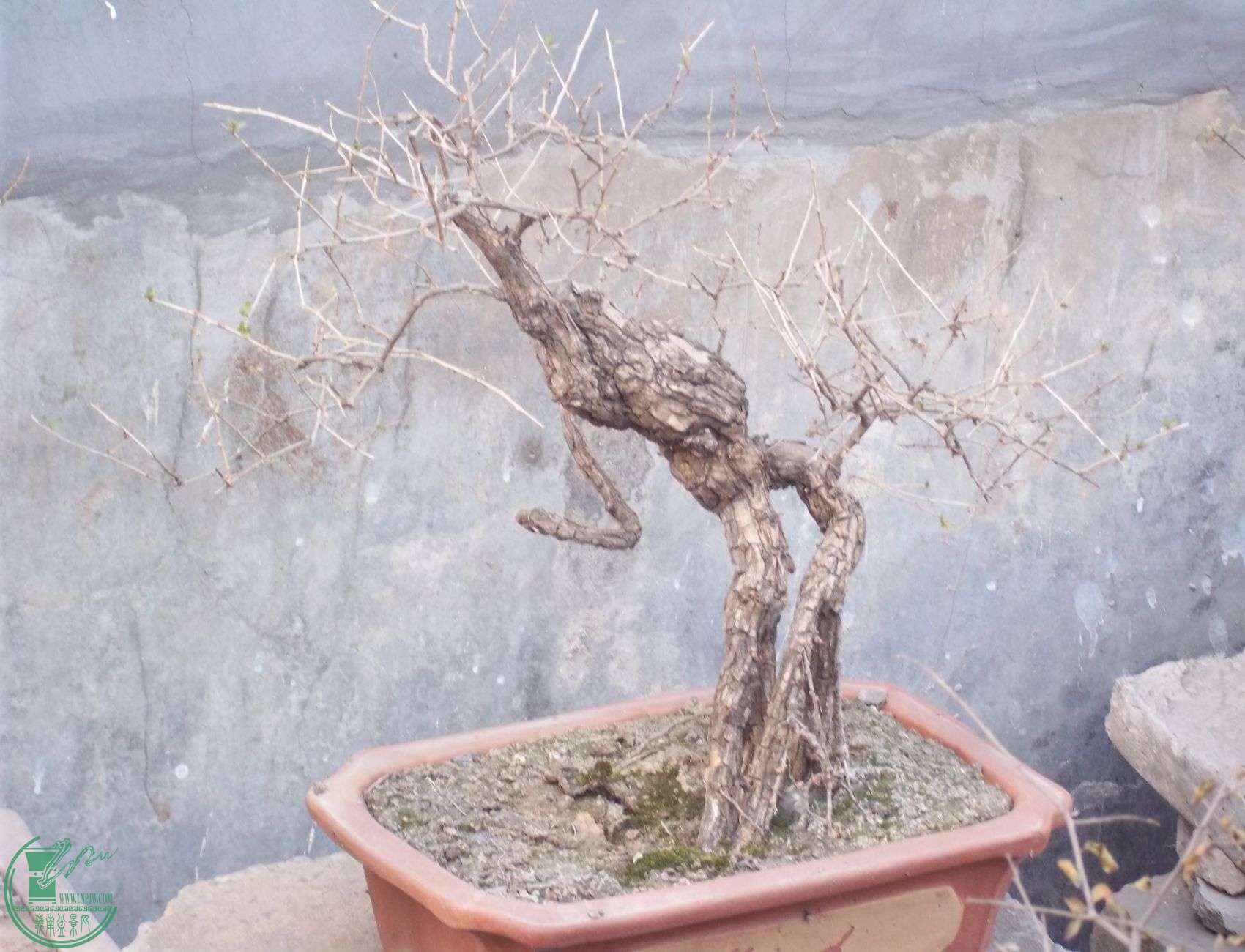100_4802.JPG