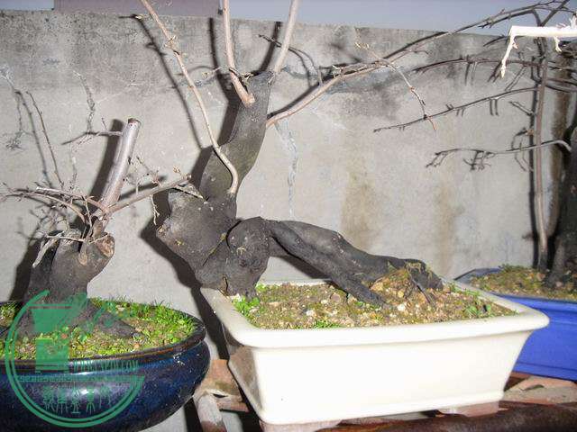 С SDC14099.JPG