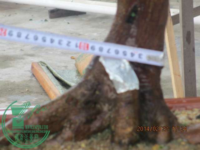 IMG_3730 - .JPG