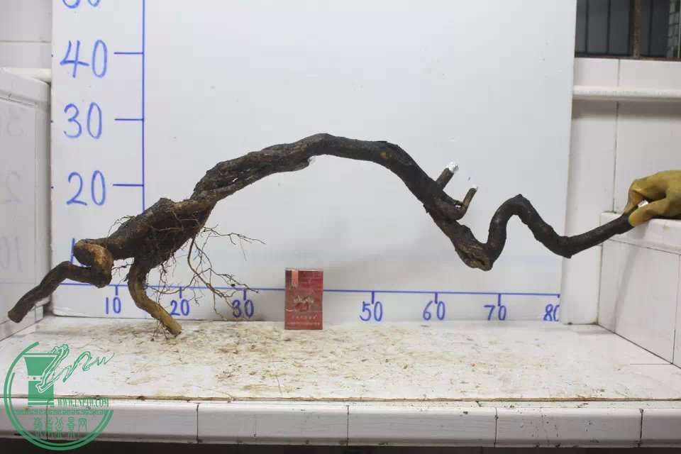 psb (9).jpg