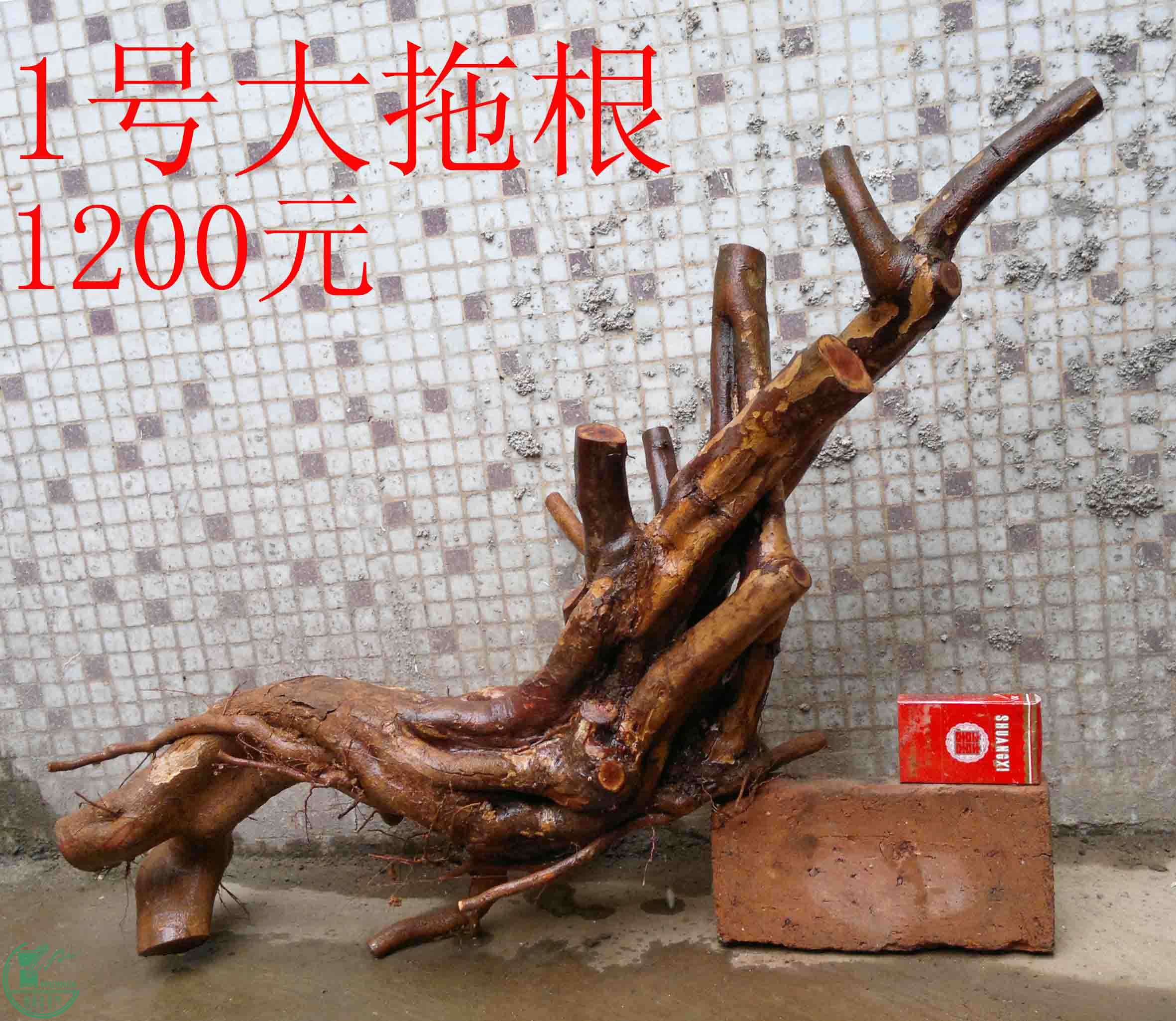 201102052654.jpg