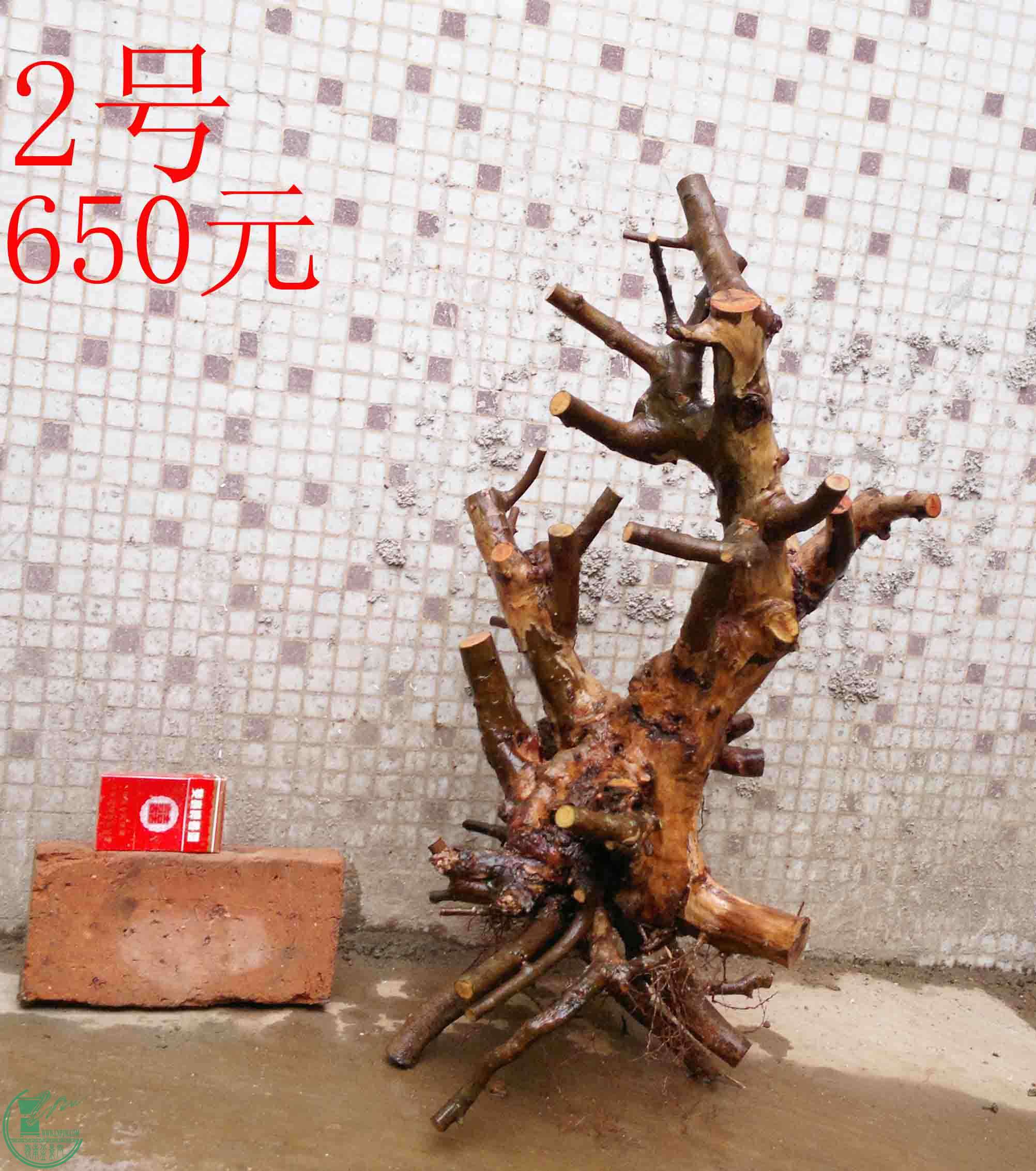 201102052668.jpg