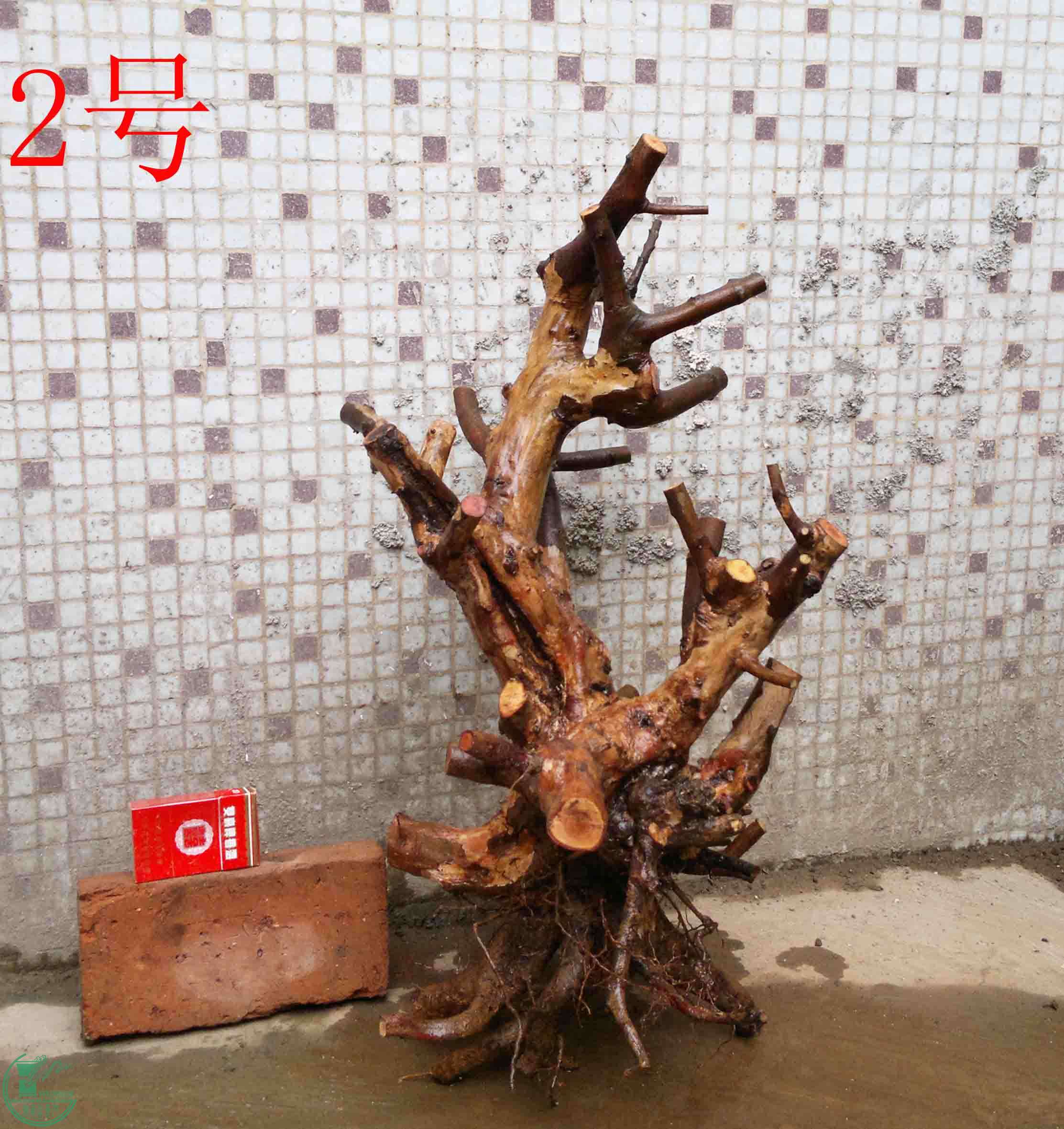 201102052672.jpg