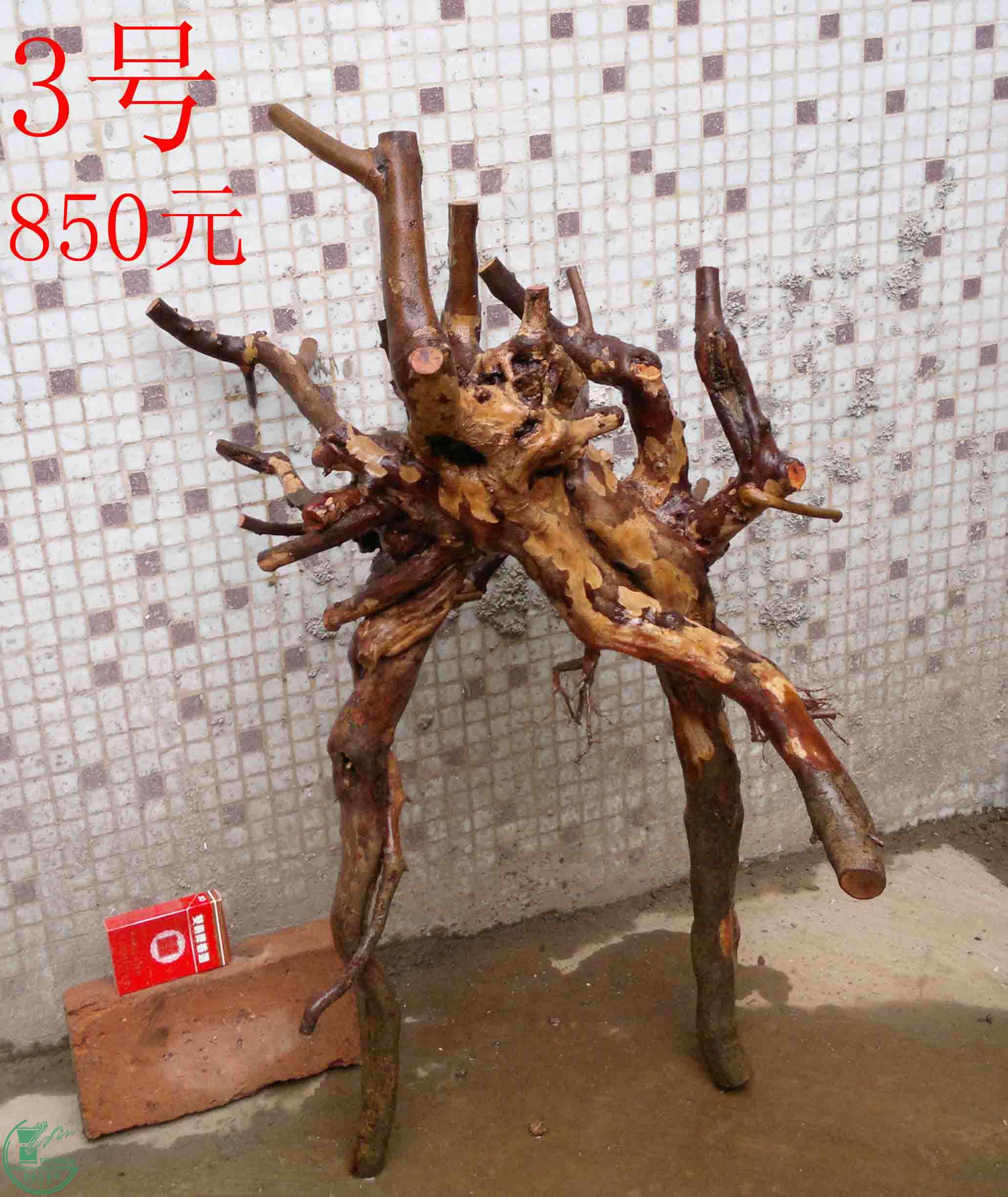201102052683.jpg