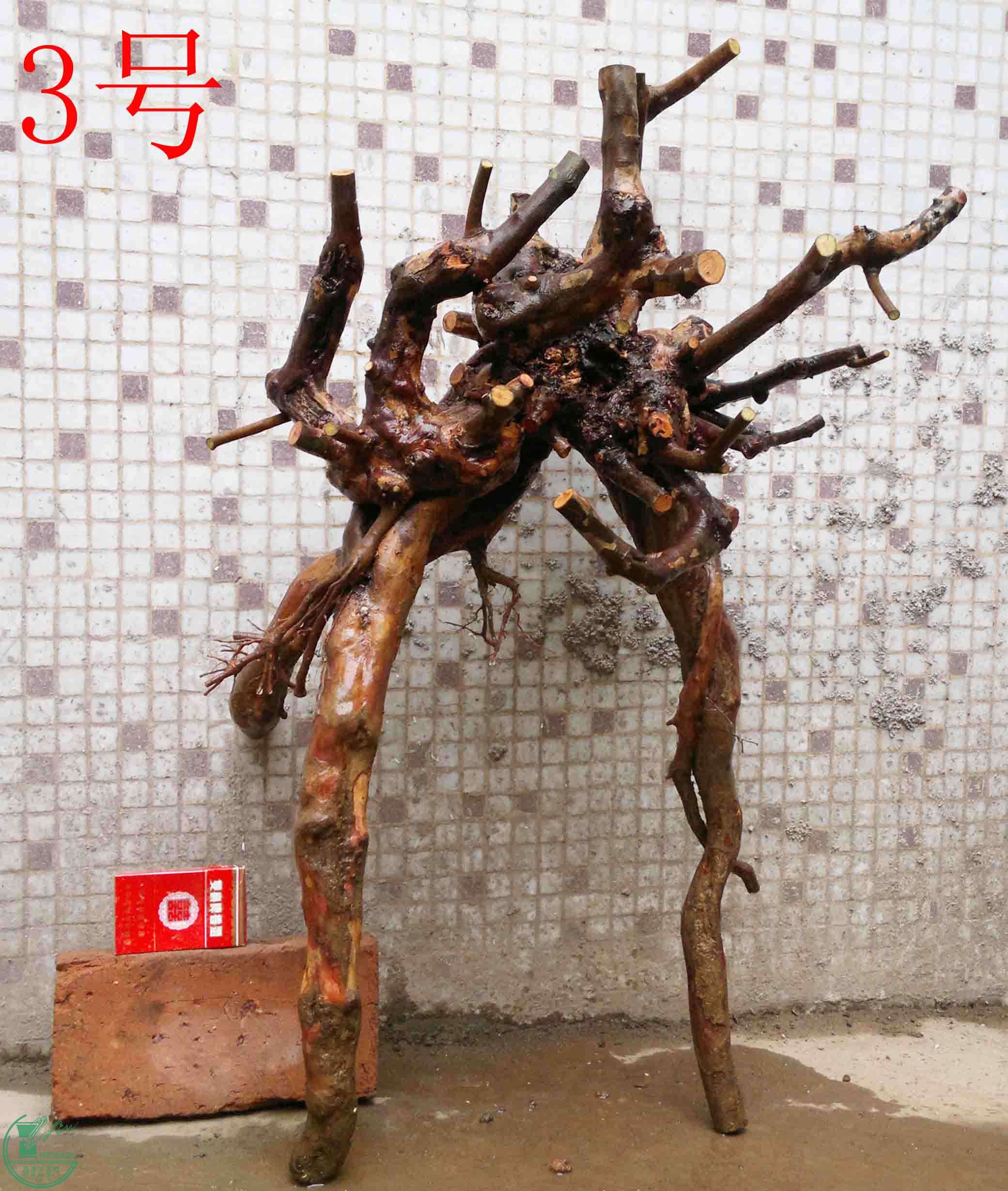 201102052693.jpg