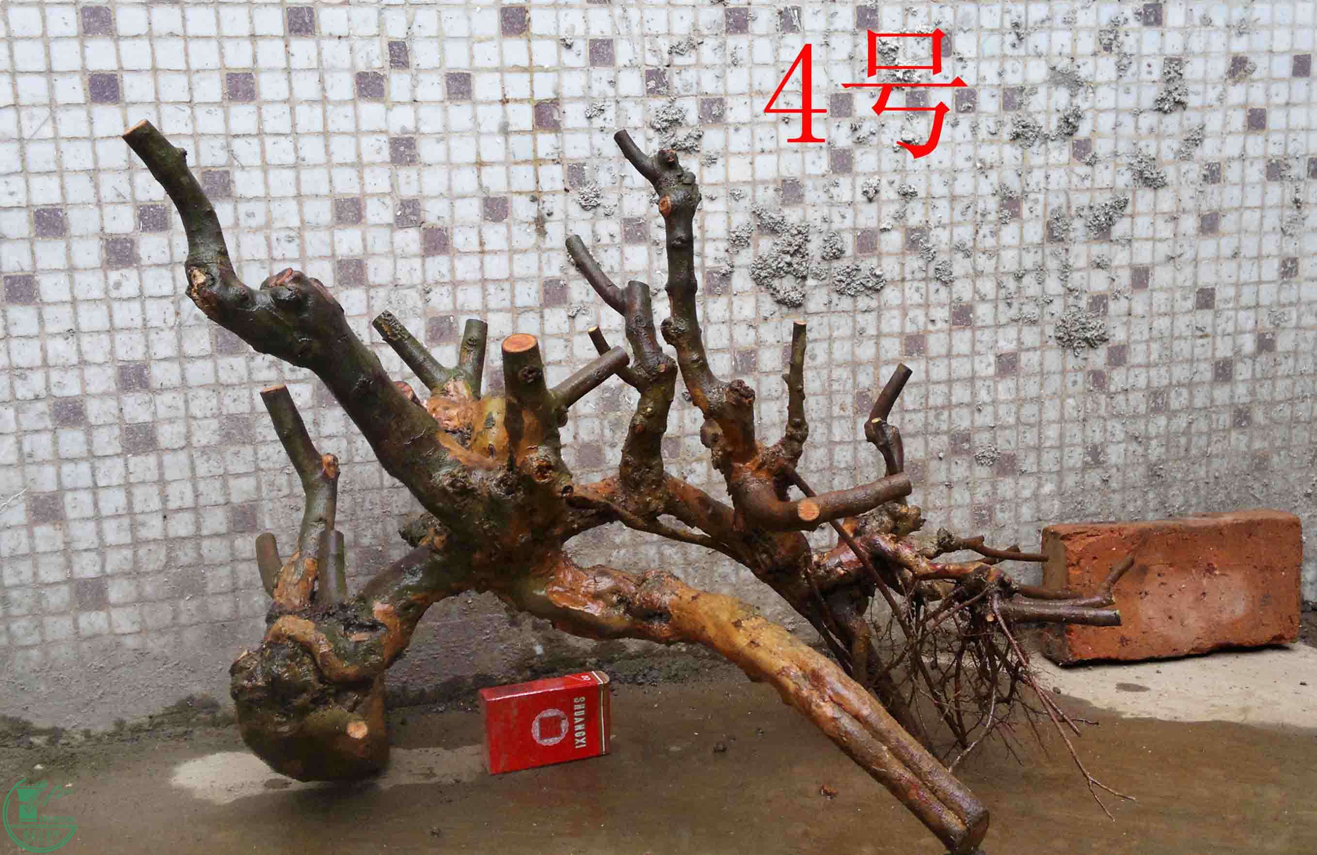 201102052706.jpg