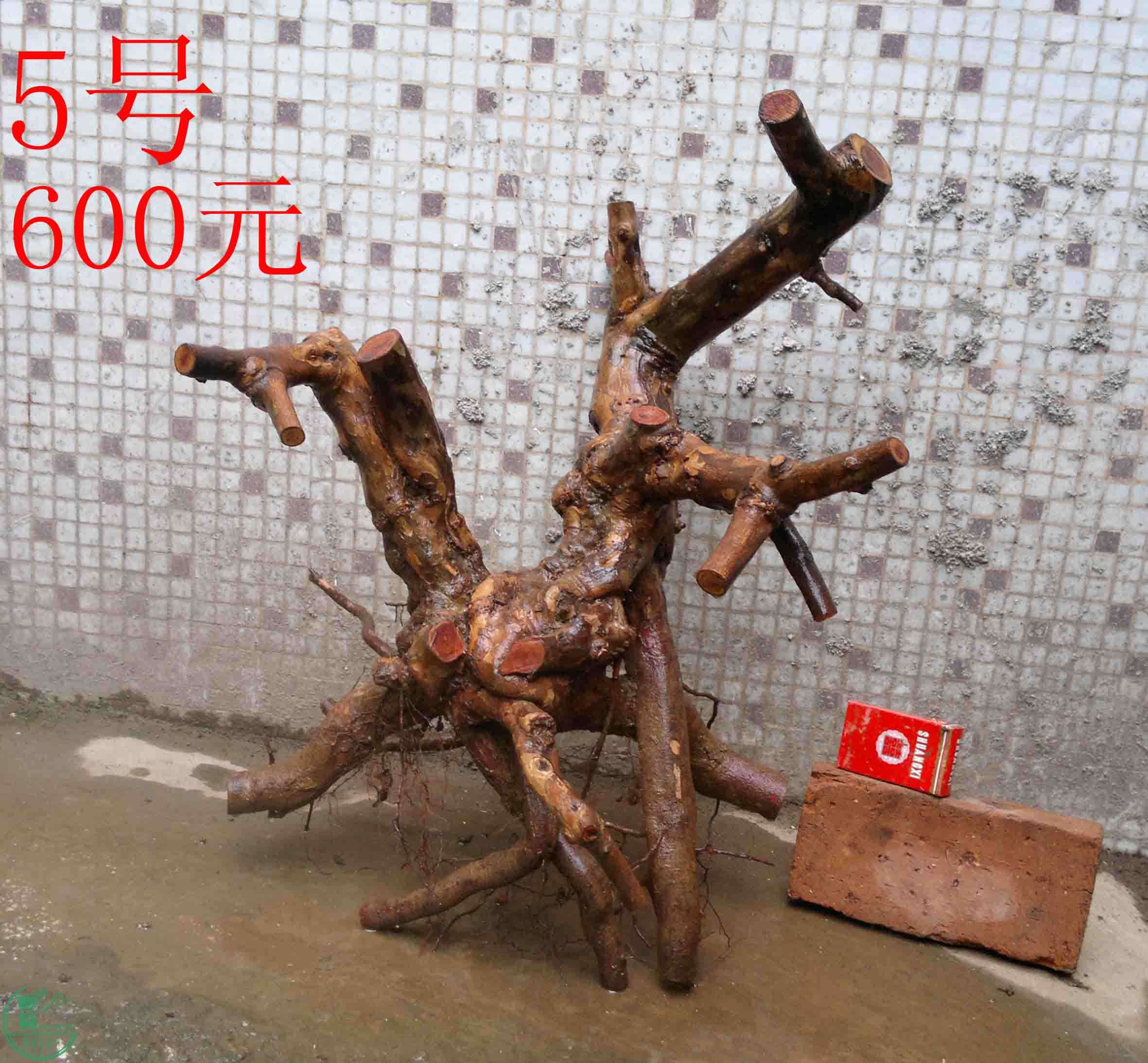 201102052716.jpg