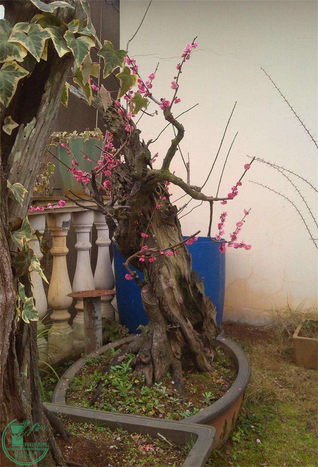 ÷׮57IMG_20150222_092204_ͼ_2345ͼ.jpg