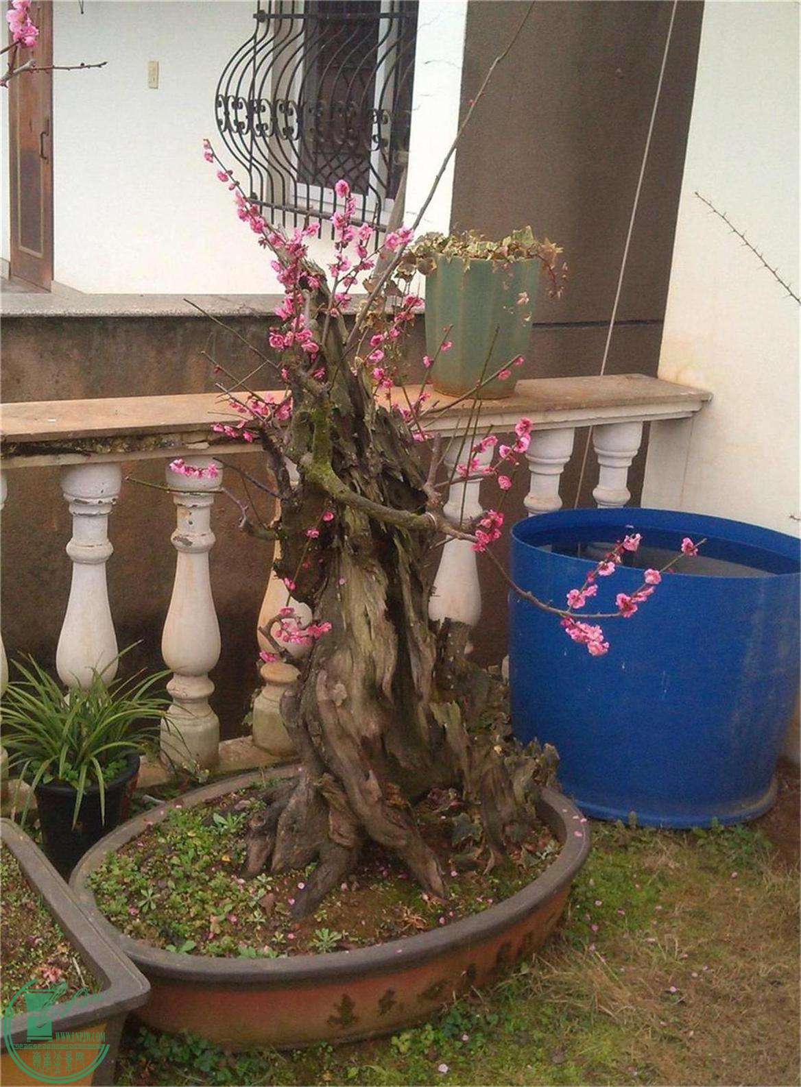 ÷׮56IMG_20150222_092146_ͼ_2345ͼ.jpg