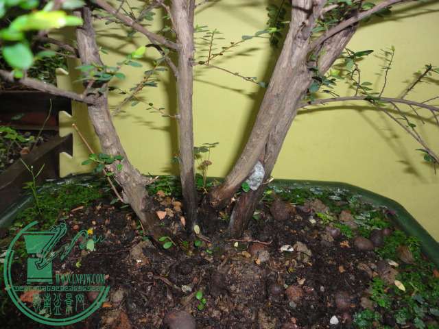 DSC06840.JPG