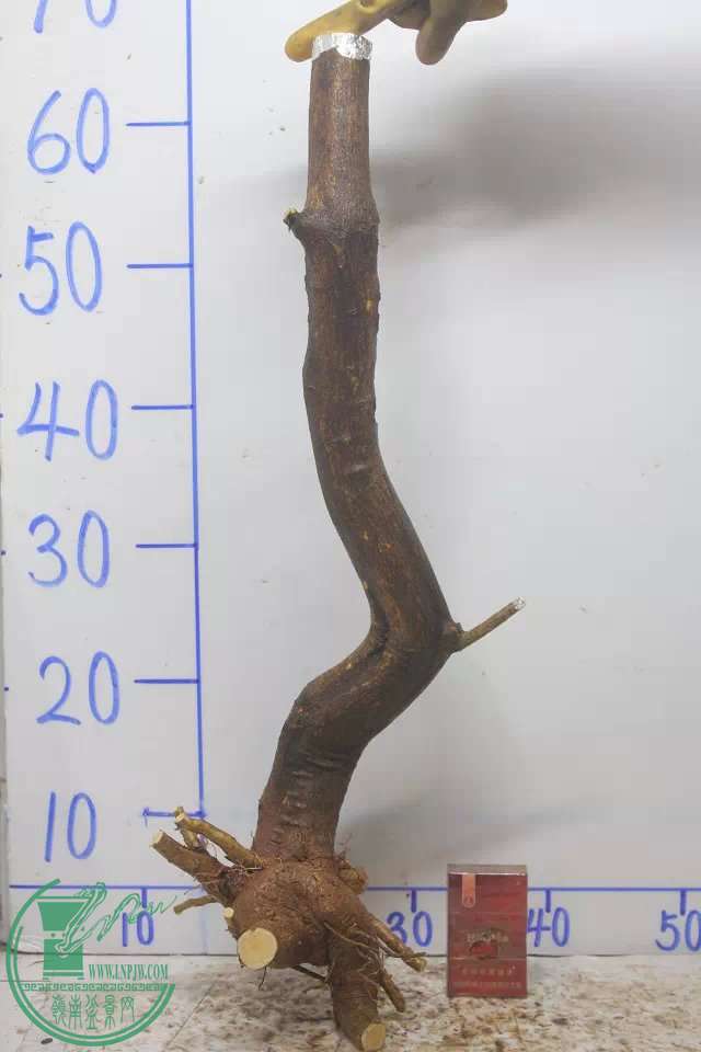 psb (8).jpg