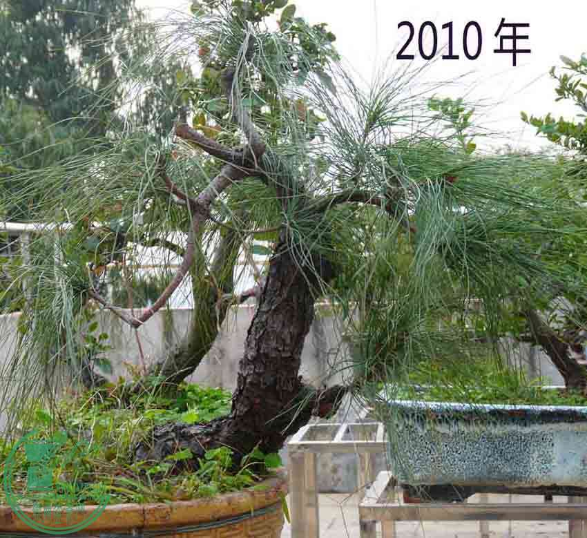 2010.jpg