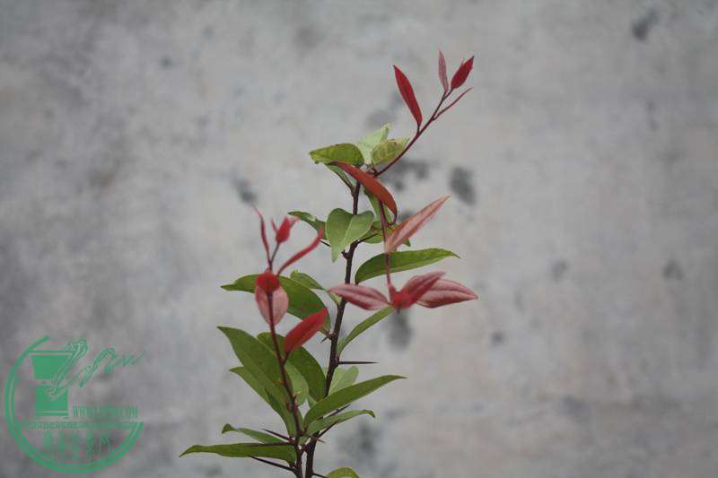 Ƭ20131026ۺ 2766.jpg